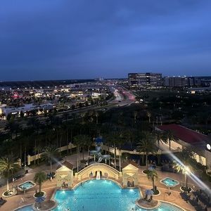 Meet your Posher, Callie